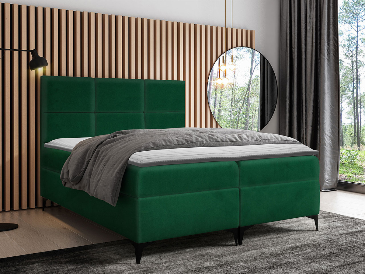 Kontinentalseng Mare (Magic Velvet 2225)