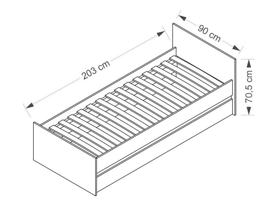 Seng Cirdora 107 (Sonoma eg)