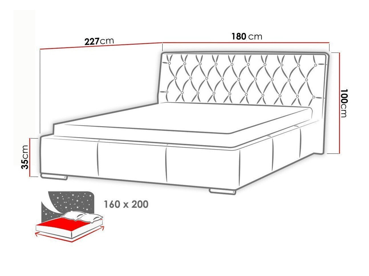 Seng Baltimore 101 (Soft 017)