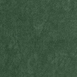 Kontinentalseng Hortulus II (Mikrofaza 10)