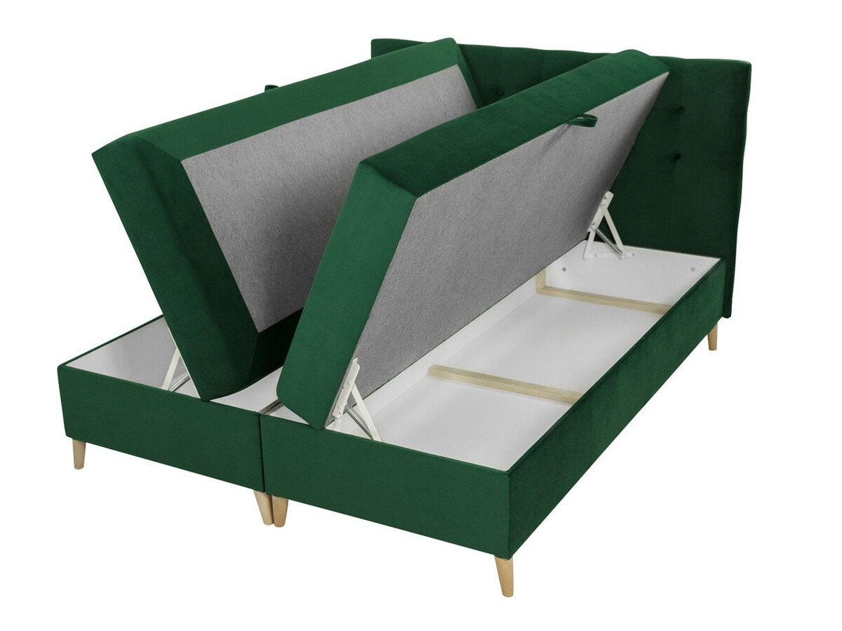 Kontinentalseng Caseus (Magic Velvet 2217)