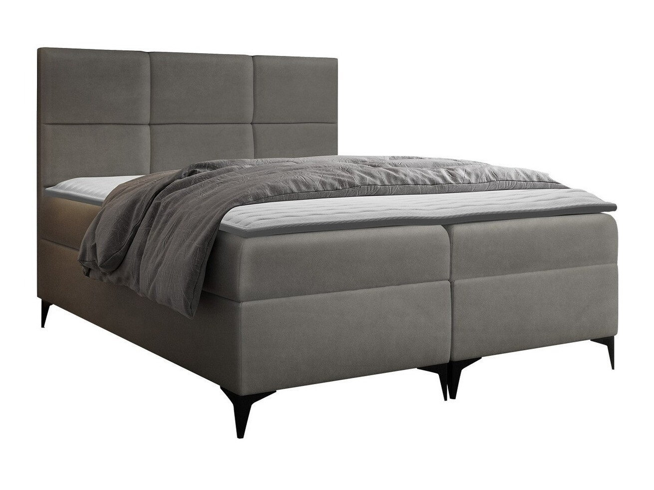 Kontinentalseng Mare (Magic Velvet 2241)