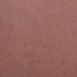 Kontinentalseng Litus I (Mono 235)