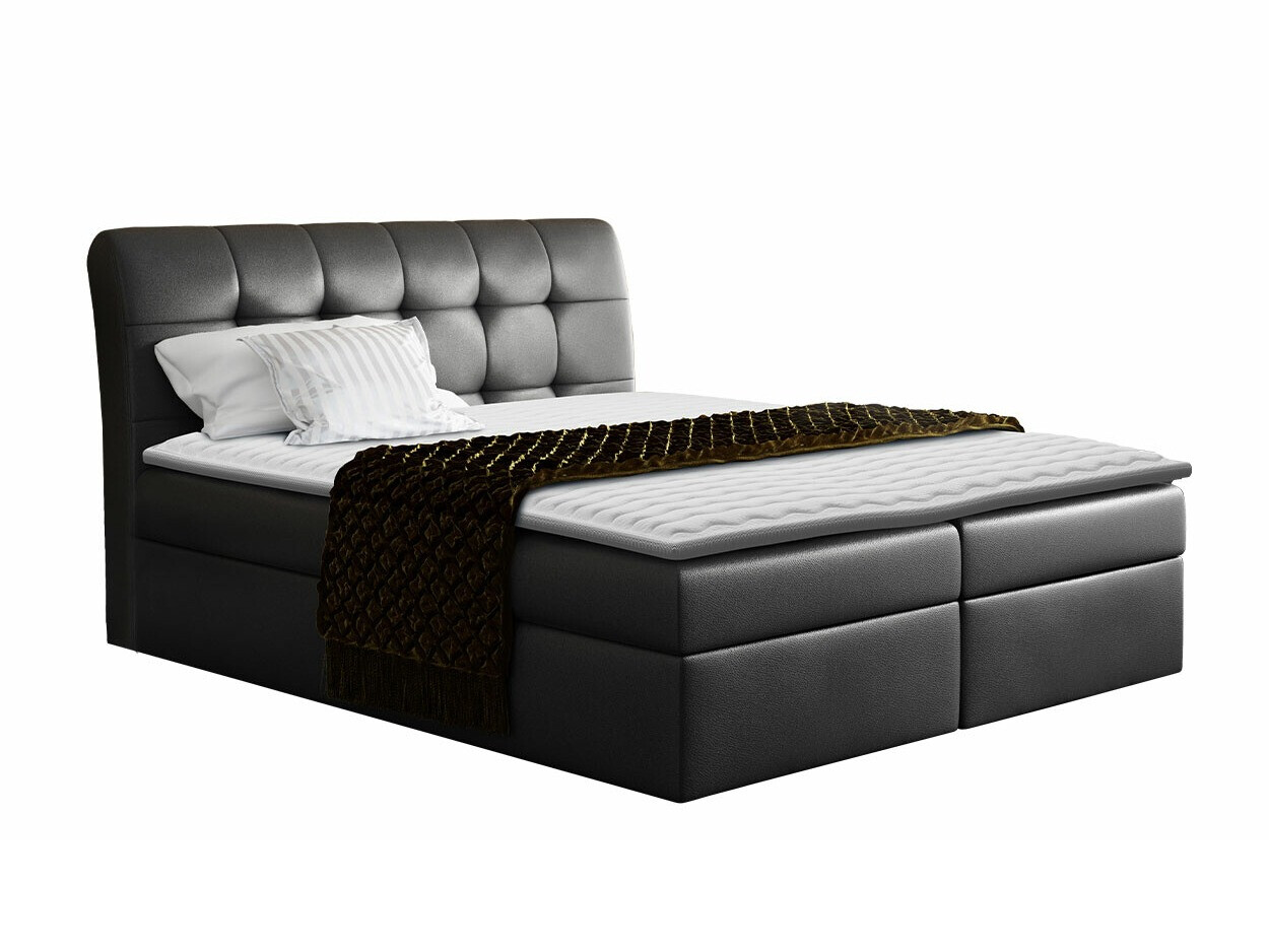 Kontinentalseng Campania (Soft 011)