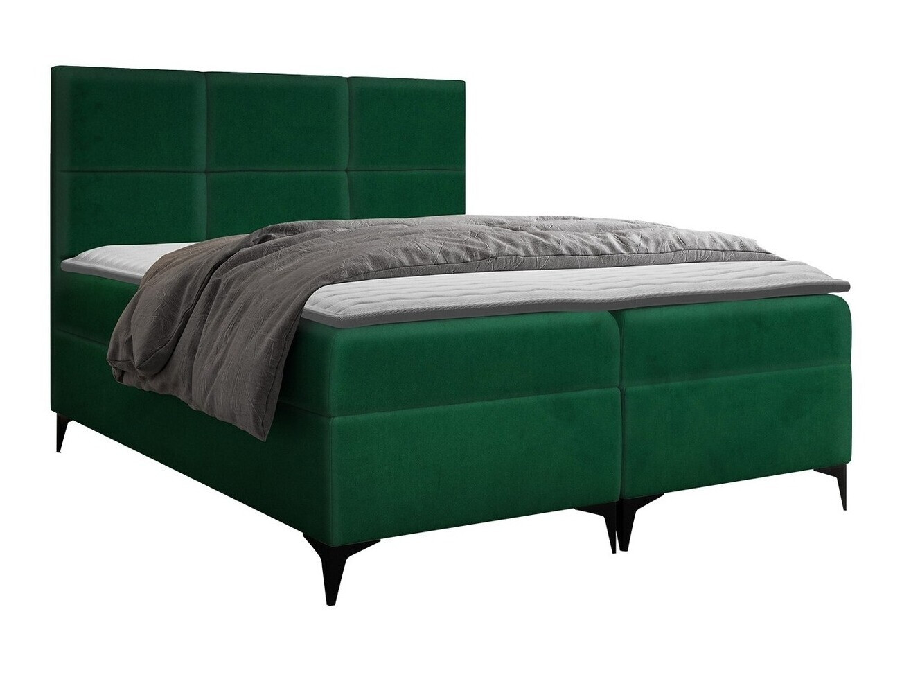 Kontinentalseng Mare (Magic Velvet 2225)