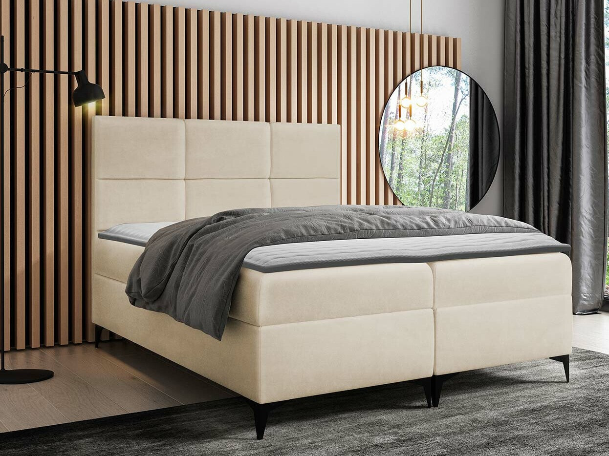 Kontinentalseng Mare (Magic Velvet 2250)