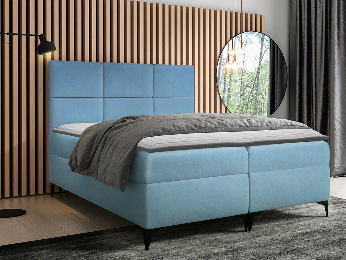 Kontinentalseng Mare (Magic Velvet 2260)
