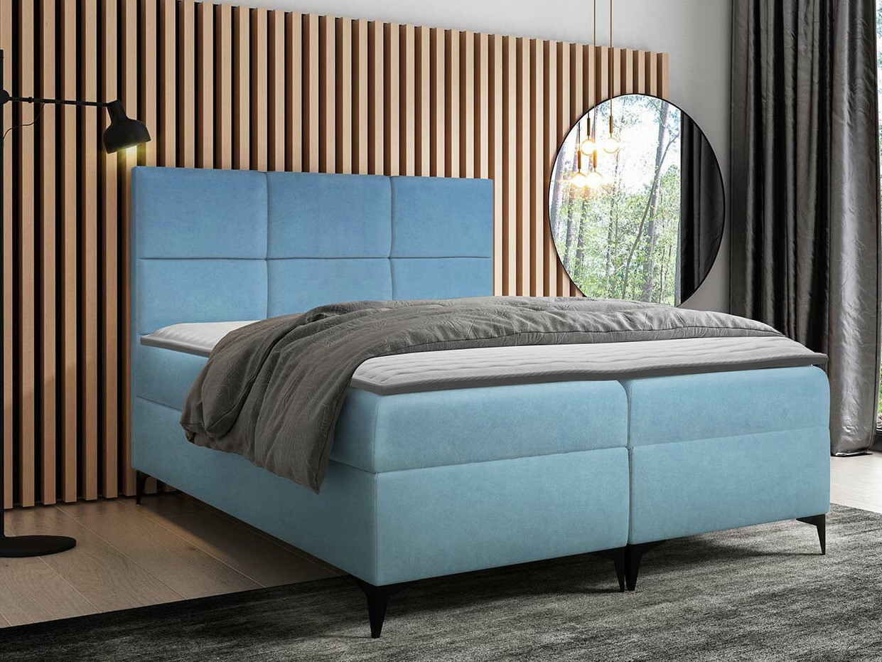 Kontinentalseng Mare (Magic Velvet 2260)