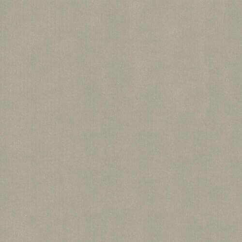 Kontinentalseng Vallis (Fresh 1)