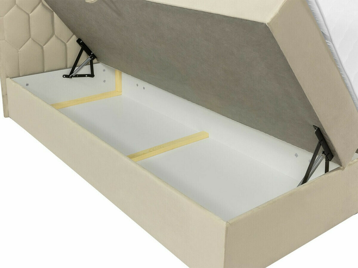 Kontinentalseng Pons III (Fresh 8)
