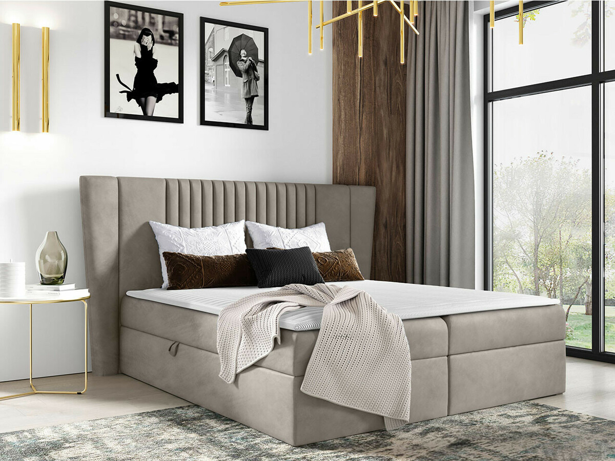 Kontinentalseng Fenestra (Magic Velvet 2209)