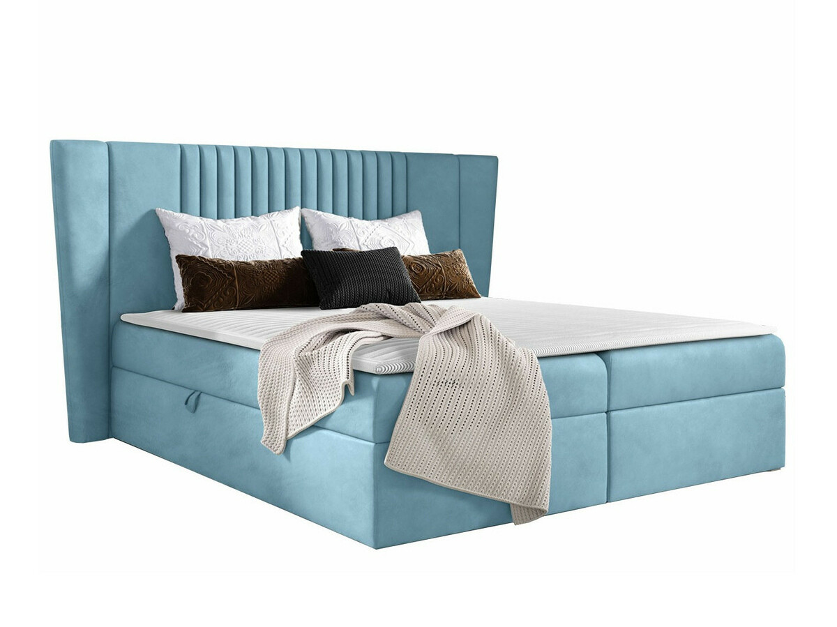 Kontinentalseng Fenestra (Magic Velvet 2260)