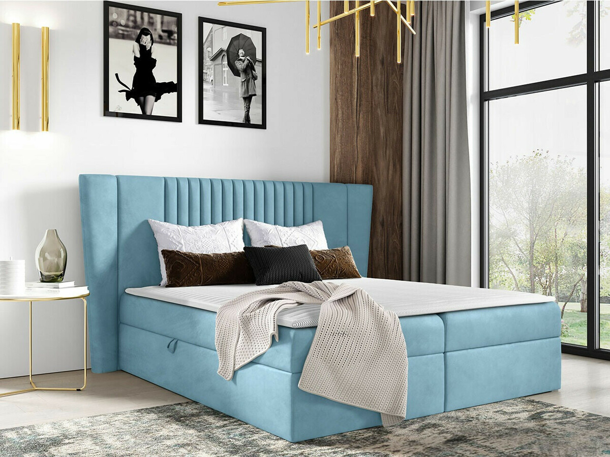 Kontinentalseng Fenestra (Magic Velvet 2260)