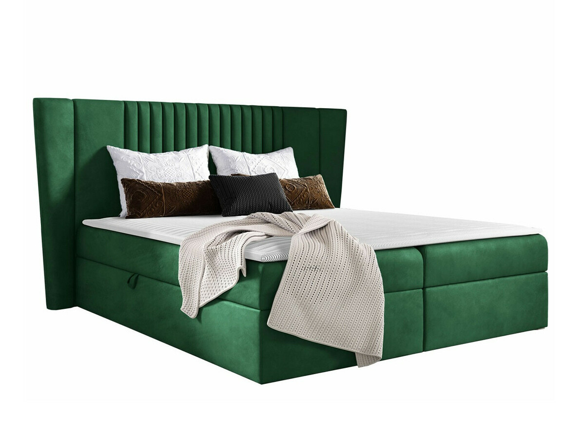 Kontinentalseng Fenestra (Magic Velvet 2225)