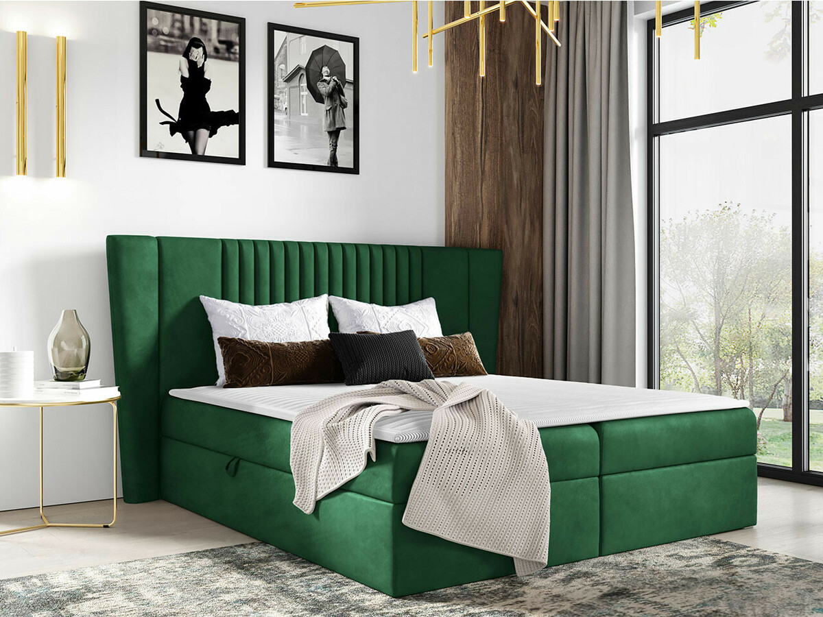 Kontinentalseng Fenestra (Magic Velvet 2225)