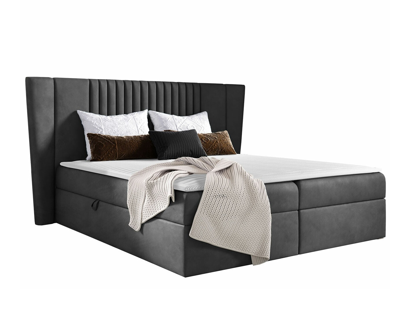 Kontinentalseng Fenestra (Magic Velvet 2271)