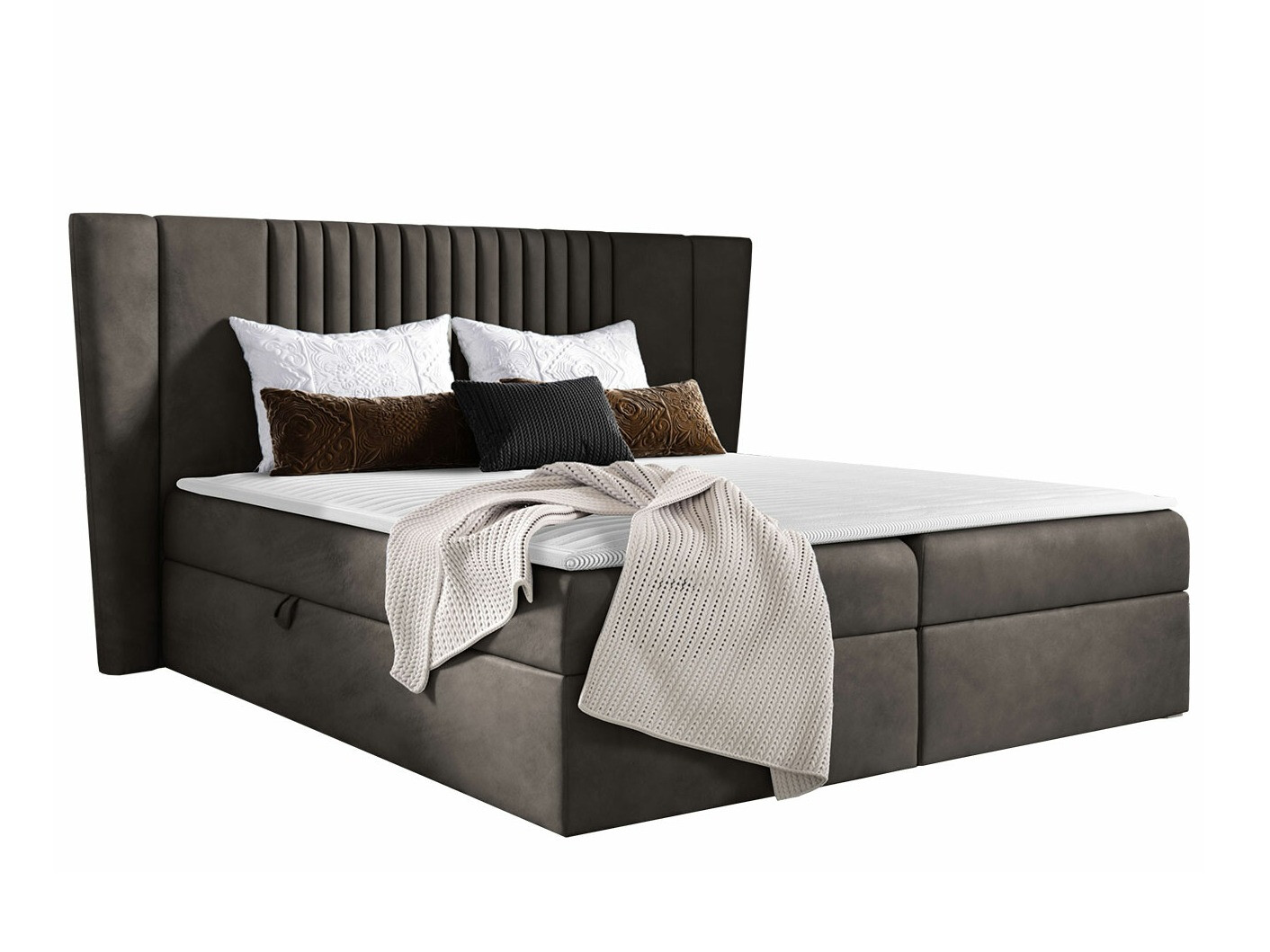Kontinentalseng Fenestra (Magic Velvet 2273)
