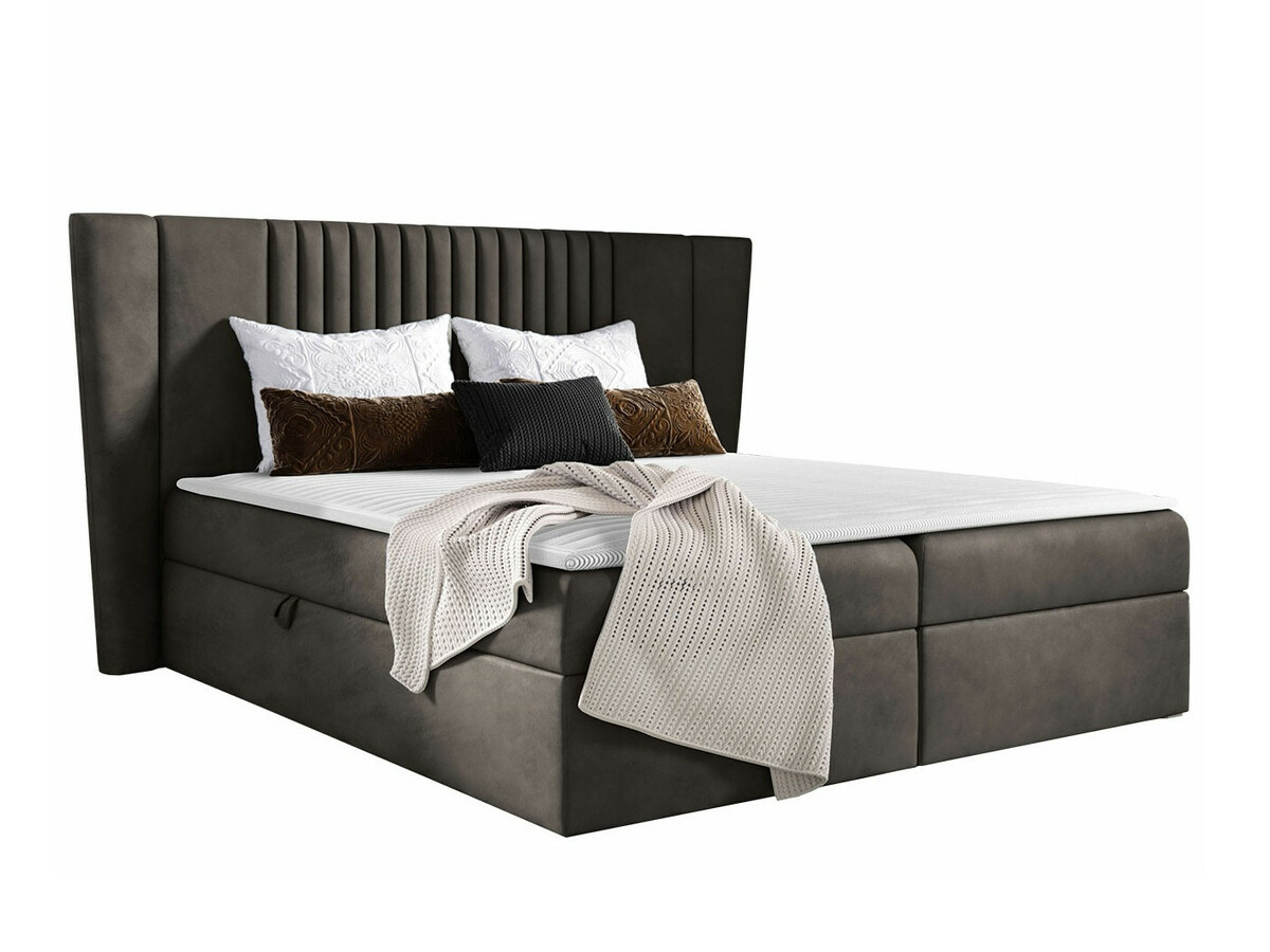 Kontinentalseng Fenestra (Magic Velvet 2273)