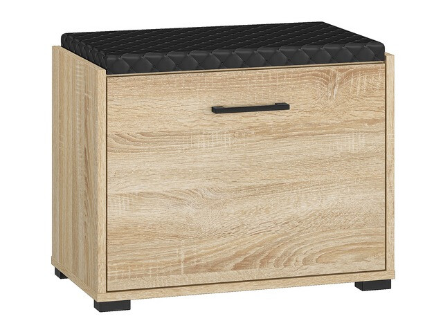 Skoskab Camtesu 100