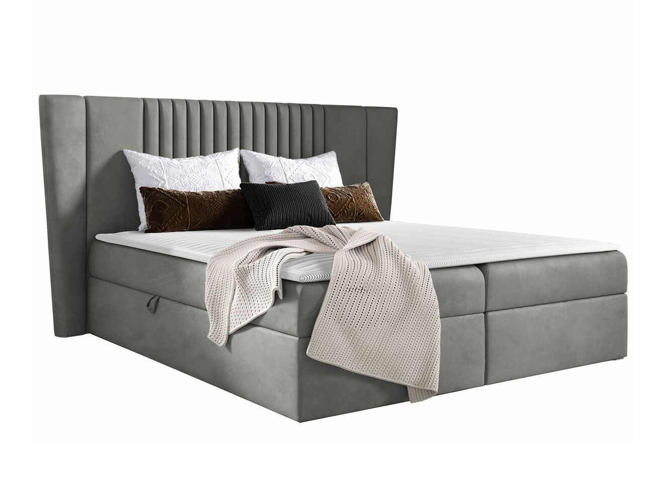 Kontinentalseng Fenestra (Magic Velvet 2217)