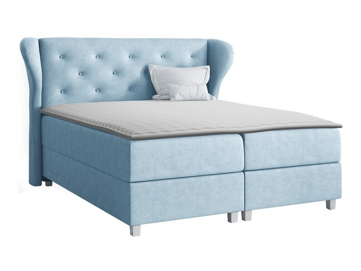 Kontinentalseng Ovum (Prestige 2771)
