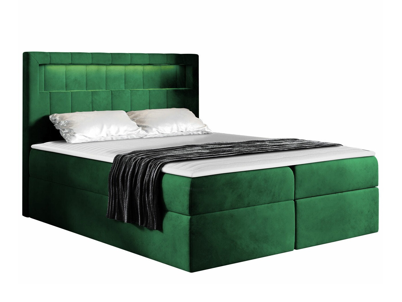 Kontinentalseng Pomum (Magic Velvet 2225)