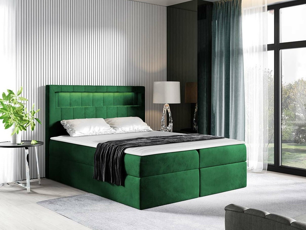Kontinentalseng Pomum (Magic Velvet 2225)