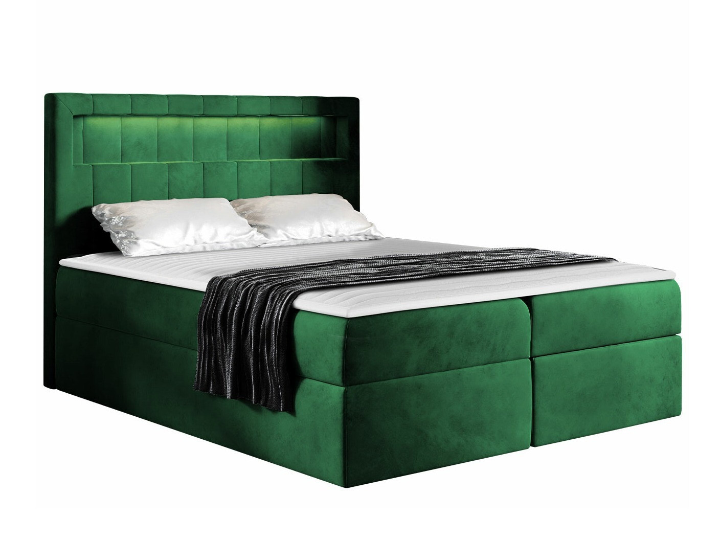 Kontinentalseng Pomum (Magic Velvet 2225)