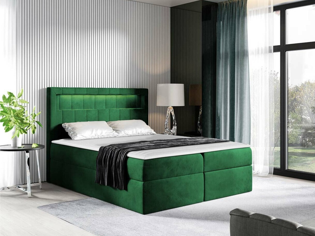 Kontinentalseng Pomum (Magic Velvet 2225)