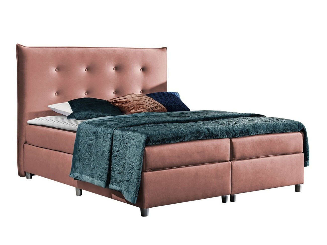 Kontinentalseng Titulus (Uttario Velvet 2955)
