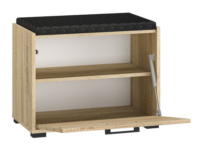 Skoskab Camtesu 100