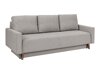 Sovesofa Delbene 101 (Moric 06)