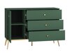 Kommode Flonovu 103 (Mørkegrøn + Gylden)