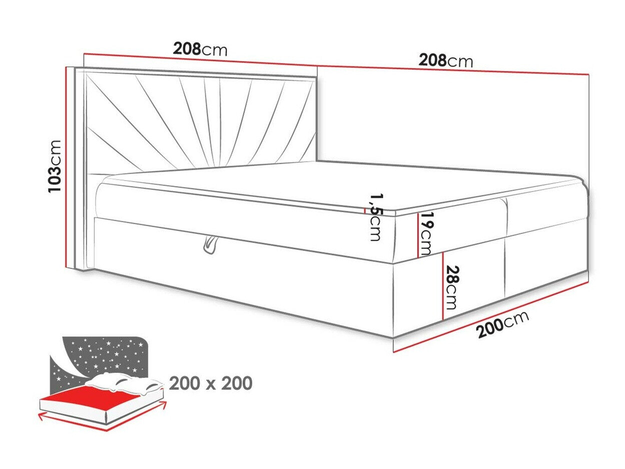 Kontinentalseng Baltimore 191 (Twist 23)