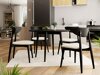 Spisestuesæt Racine 124 (Sort)