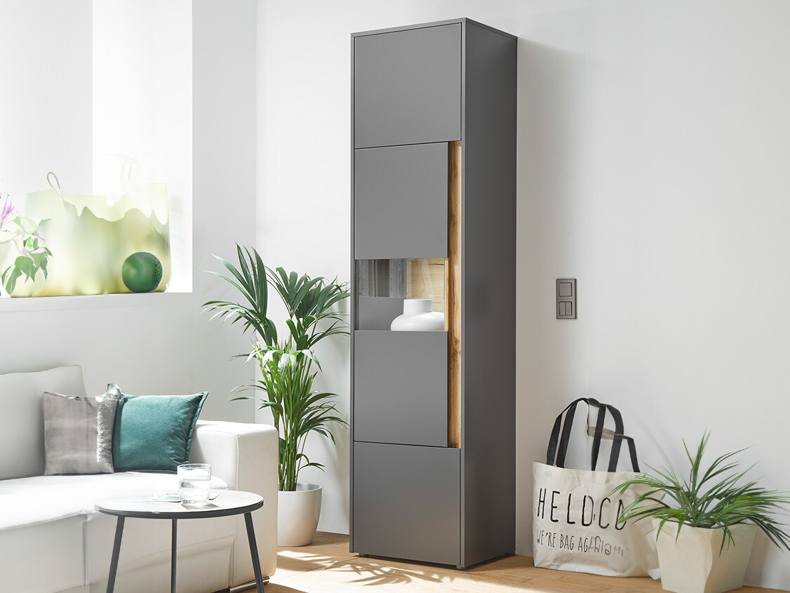 Reol Elbsori 100 (Antracit + Wotan eg)