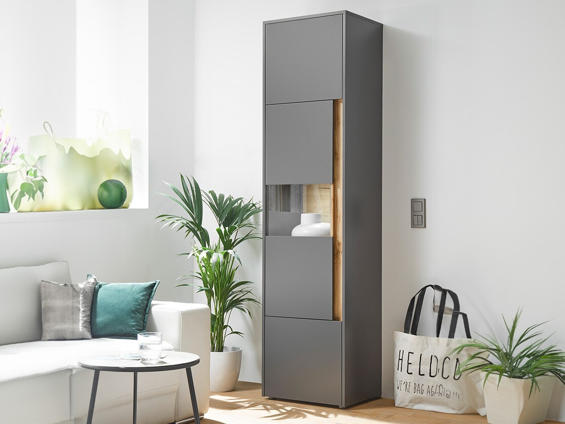 Reol Elbsori 100 (Antracit + Wotan eg)