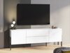 TV-bord Etsore 102 (Hvid)