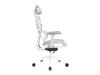 Kontorstol Lodi 104 (Hvid + Grå)