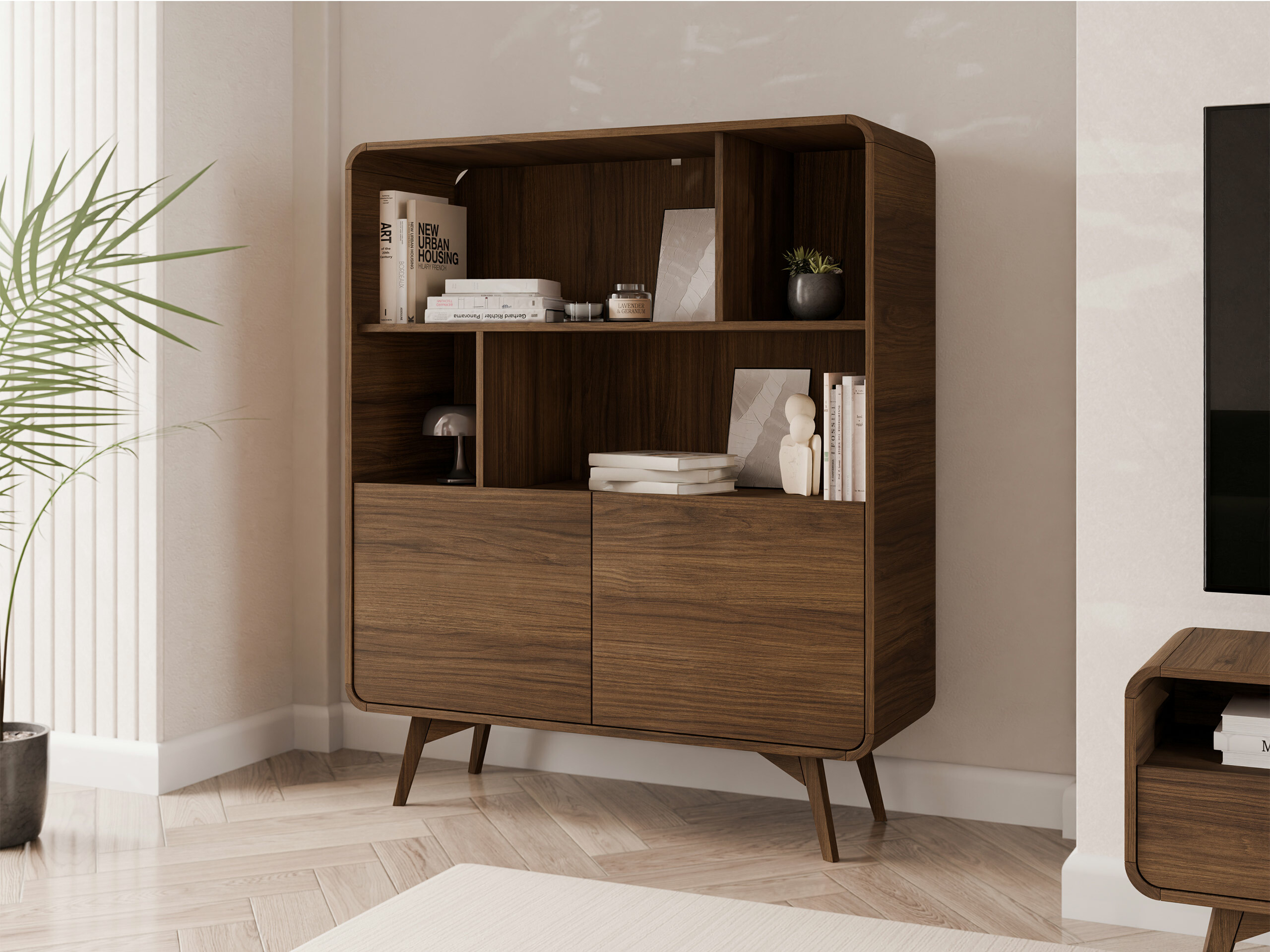 Reol Focos