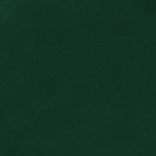 Kontinentalseng Focus (Fresh 13)