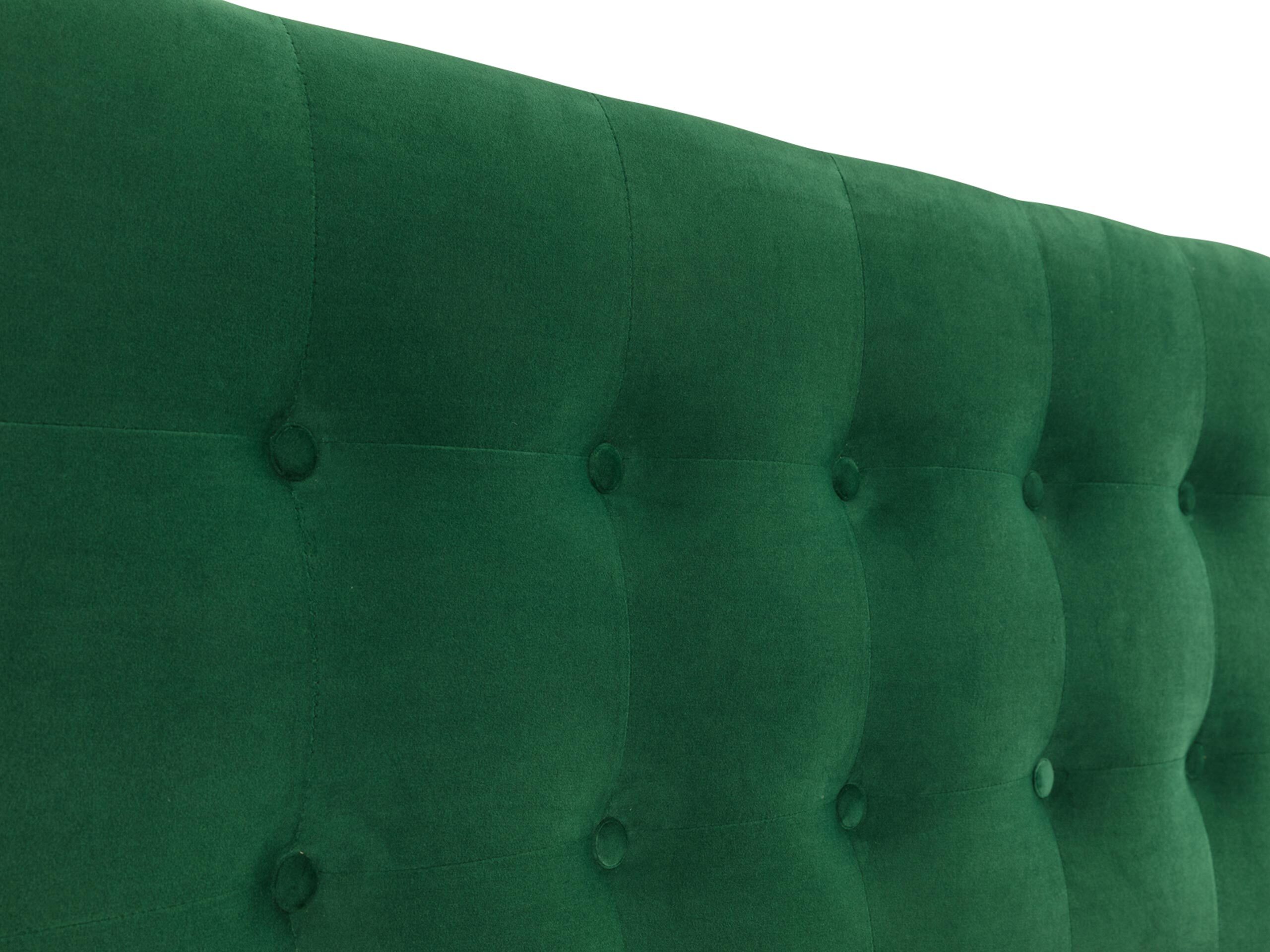 Kontinentalseng Caseus (Magic Velvet 2215)