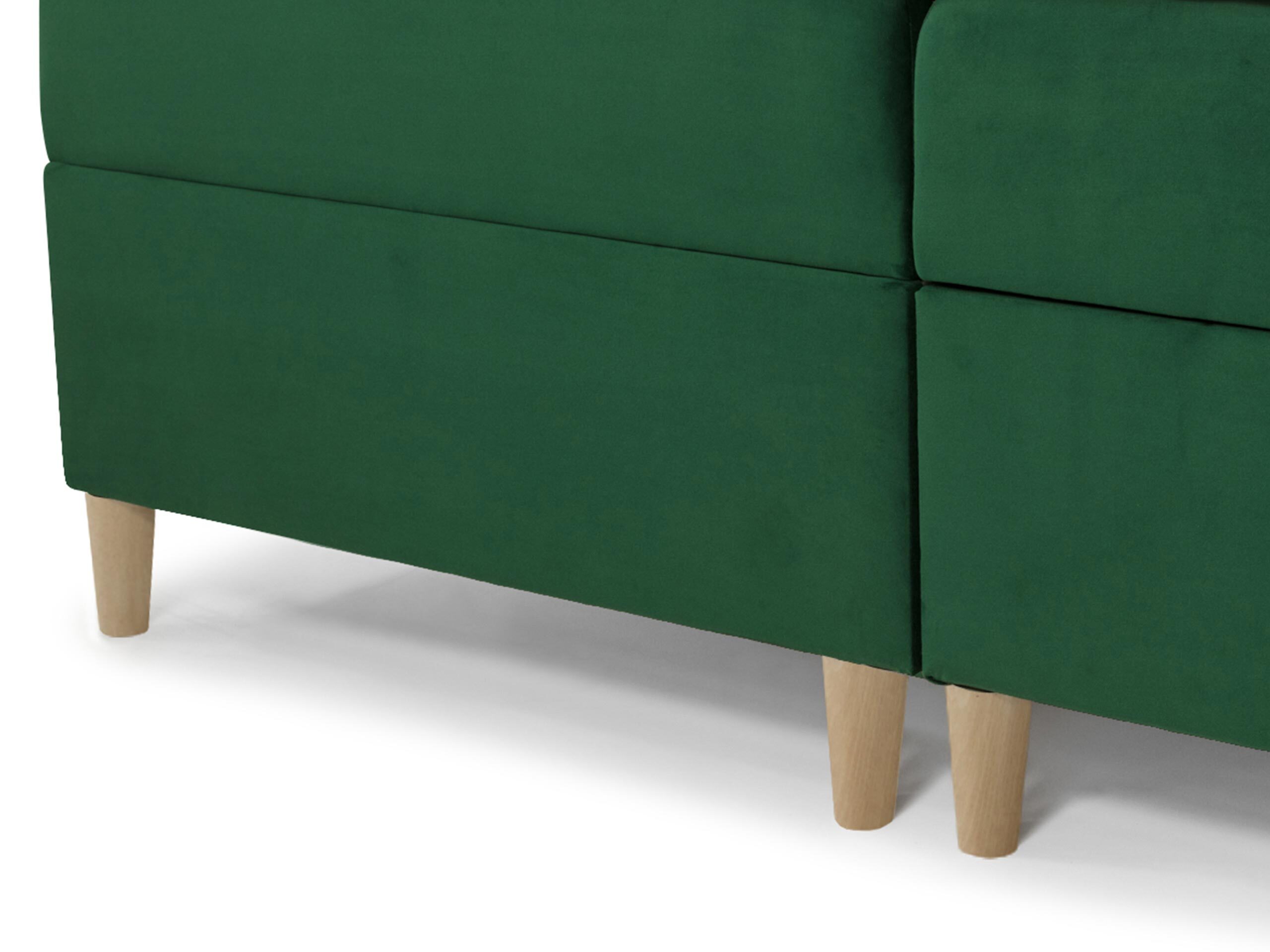 Kontinentalseng Caseus (Magic Velvet 2216)