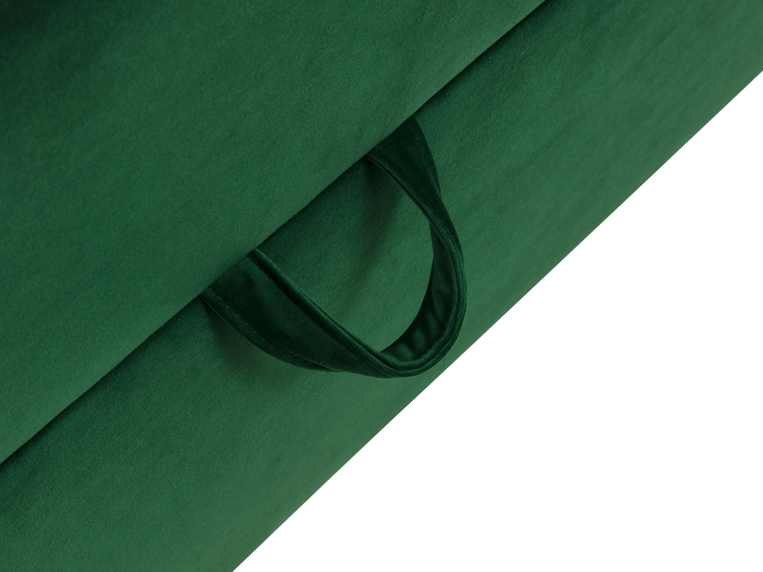 Kontinentalseng Caseus (Magic Velvet 2217)