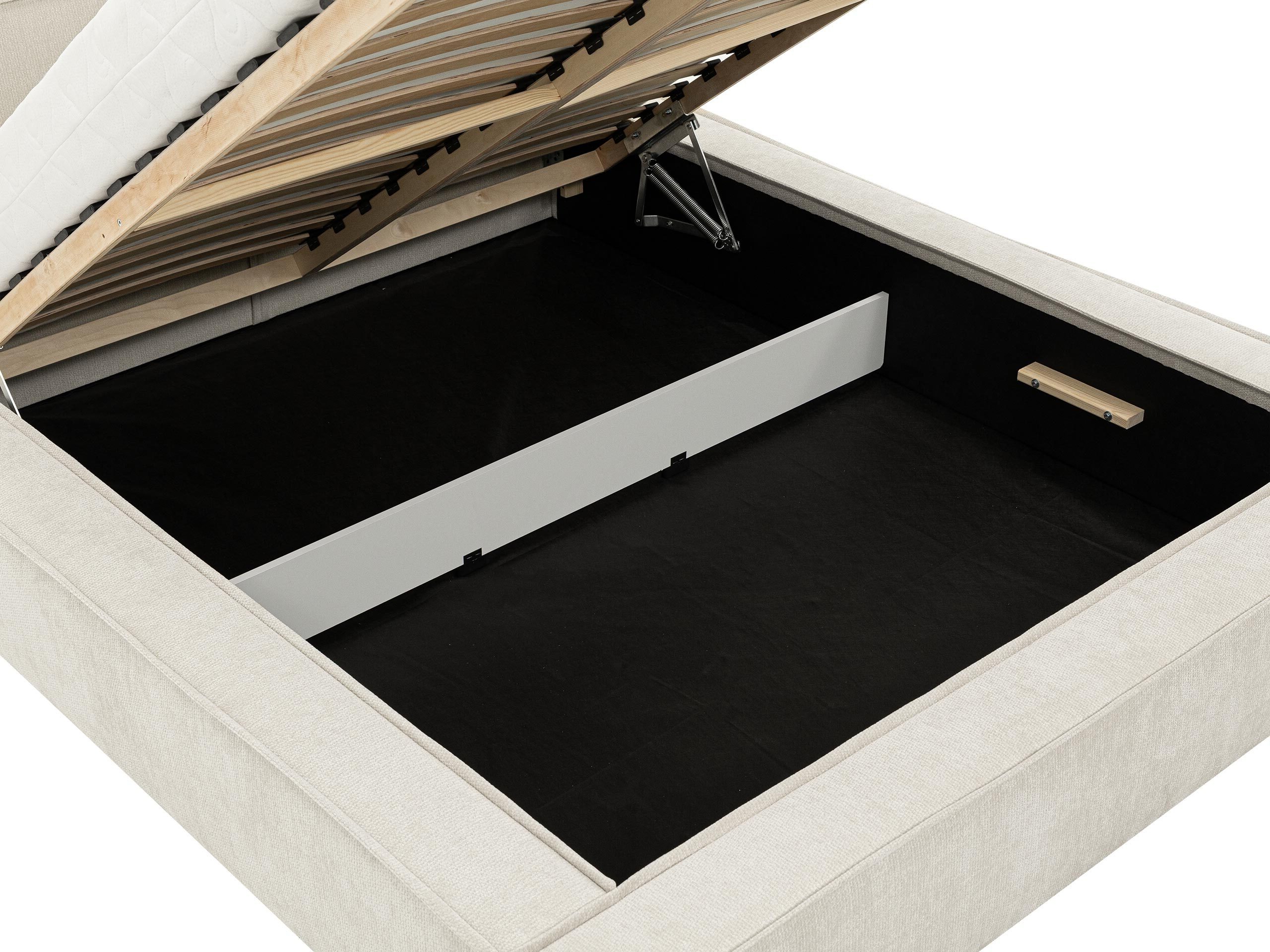 Seng TrendyNest 136 (Lumo 65)