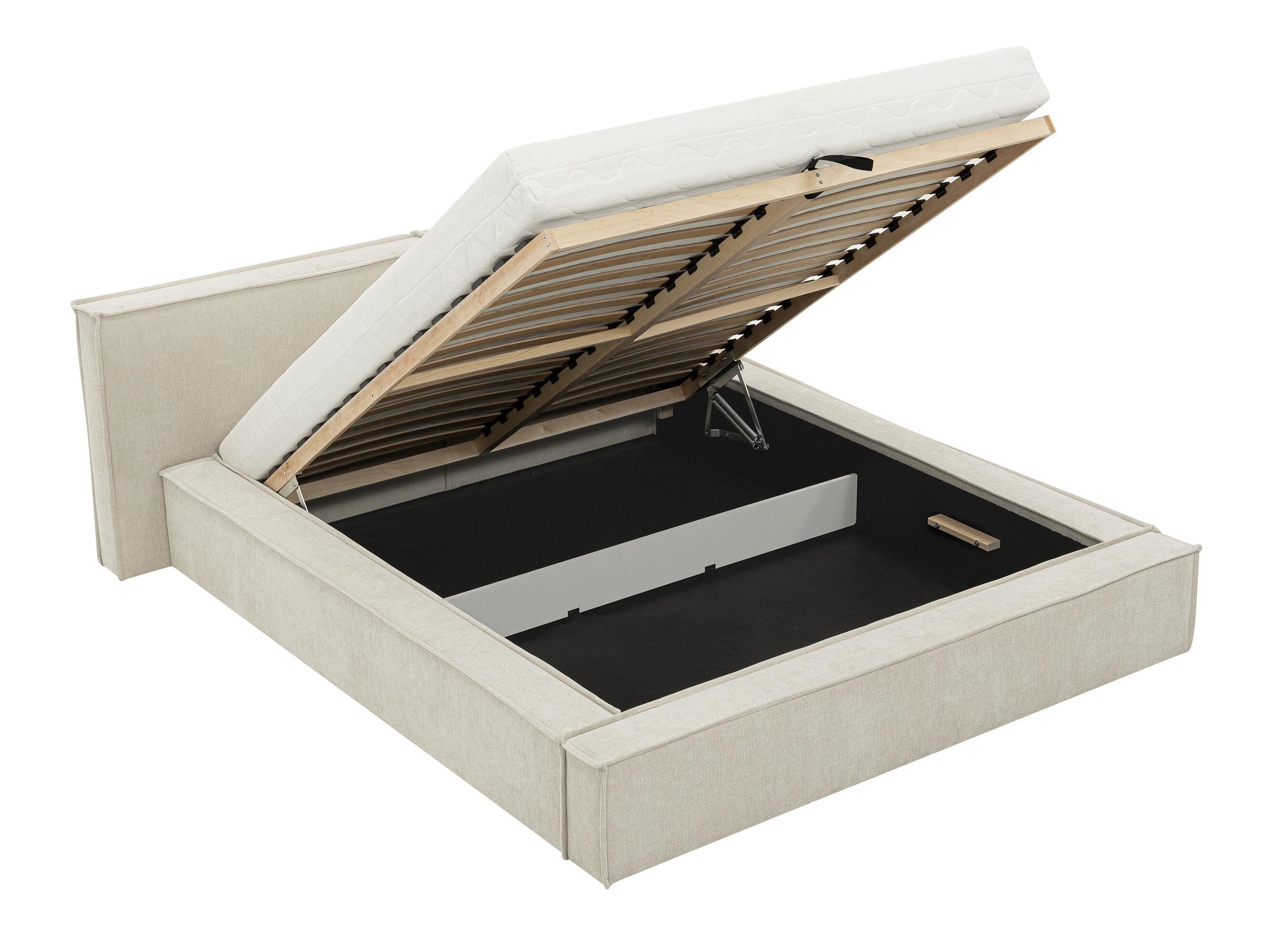 Seng TrendyNest 136 (Lumo 65)