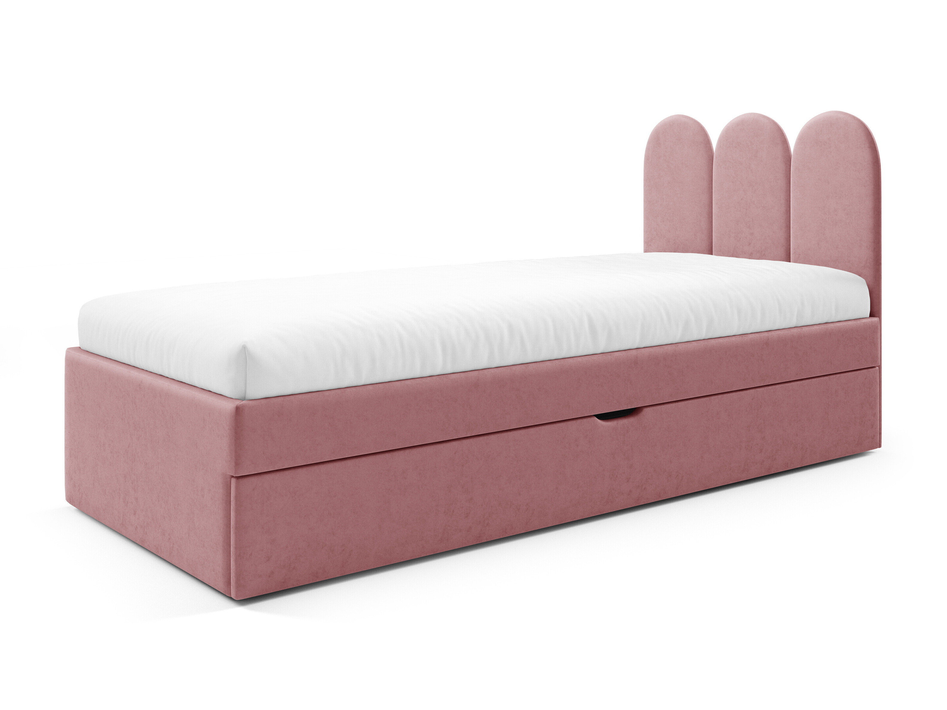 Seng Franklin 231 (Magic Velvet 2258)