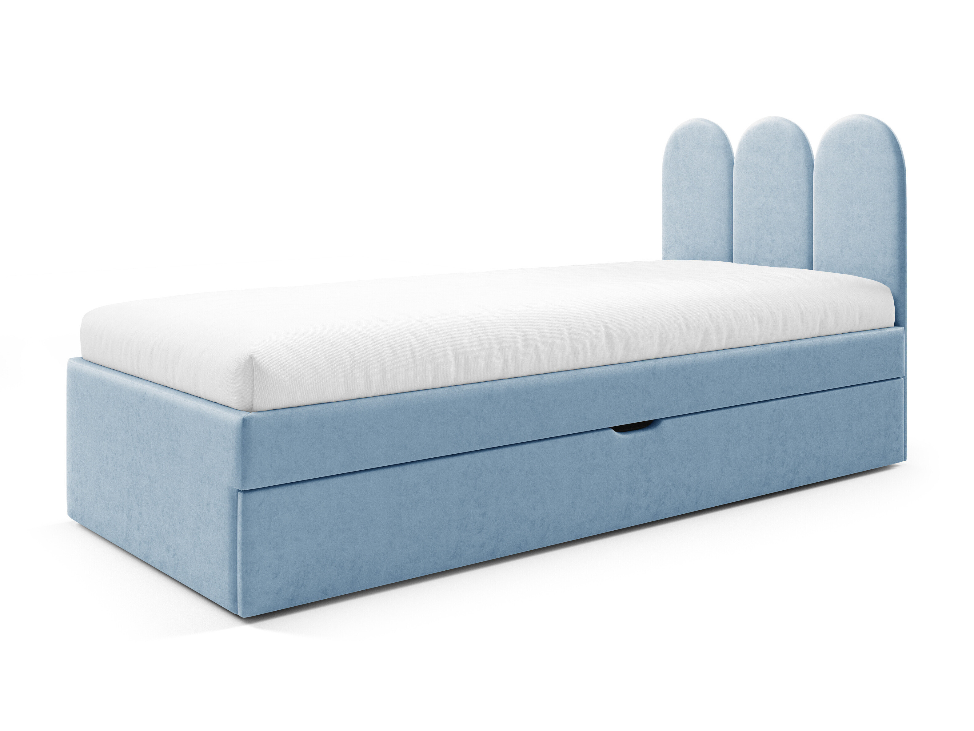 Seng Franklin 231 (Magic Velvet 2260)