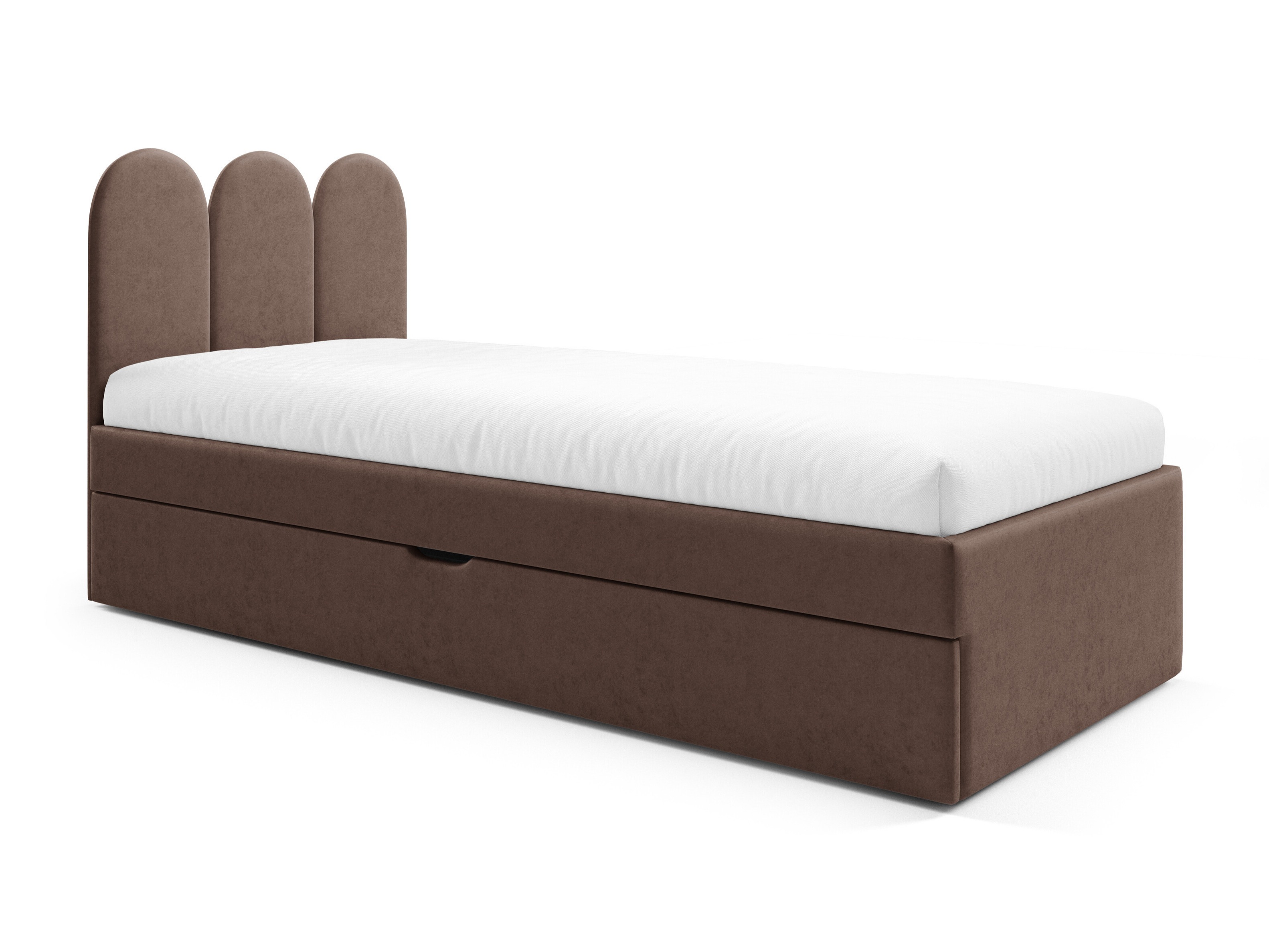Seng Franklin 231 (Magic Velvet 2299)