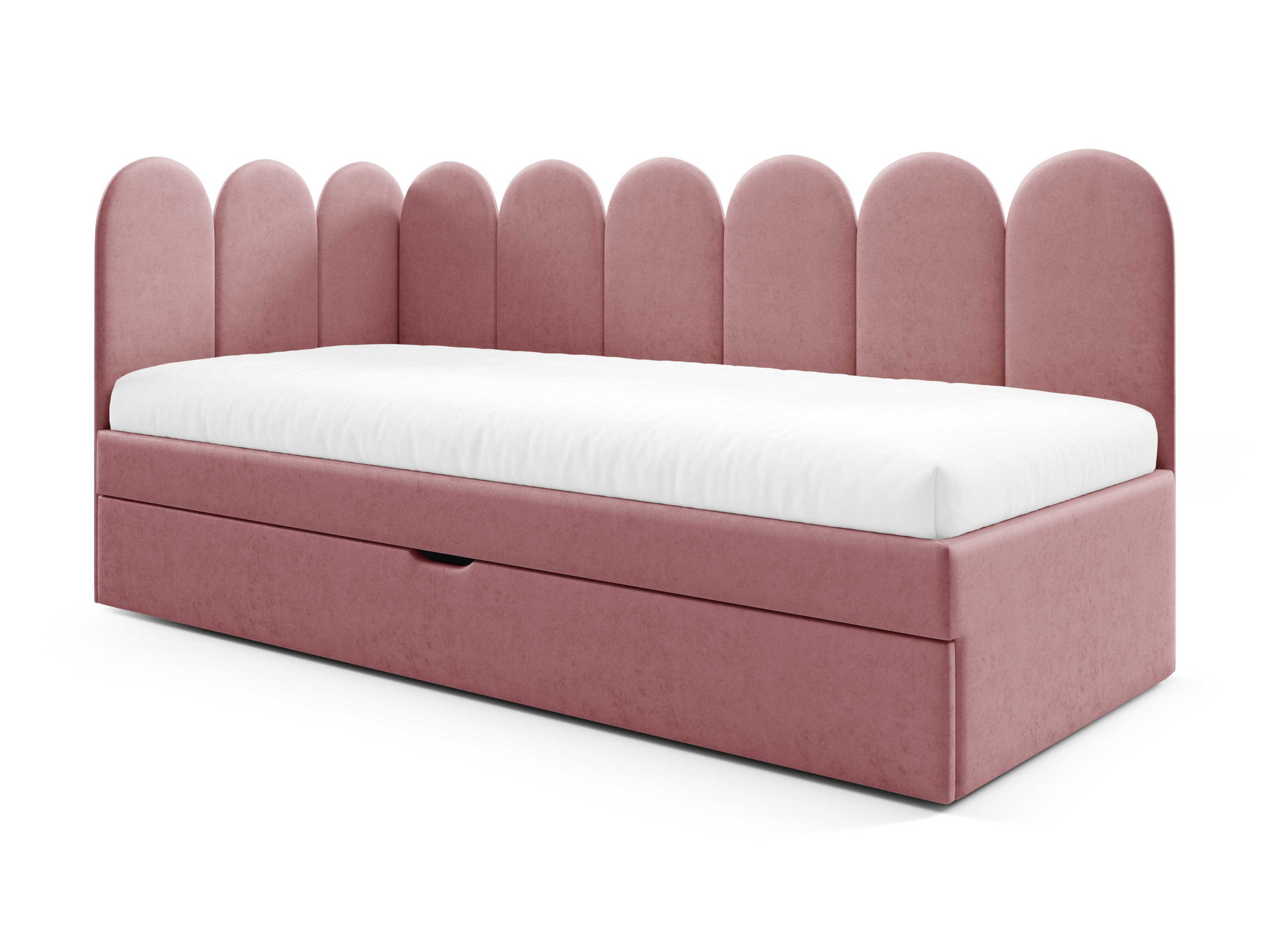 Seng Franklin 232 (Magic Velvet 2258)